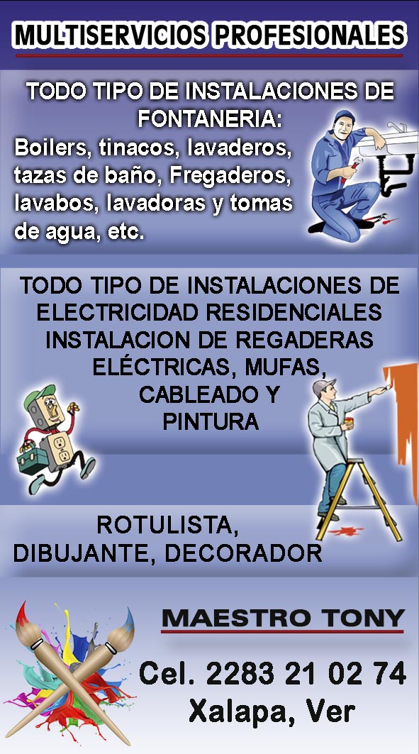 MULTISERVICIOS PROFESIONALES